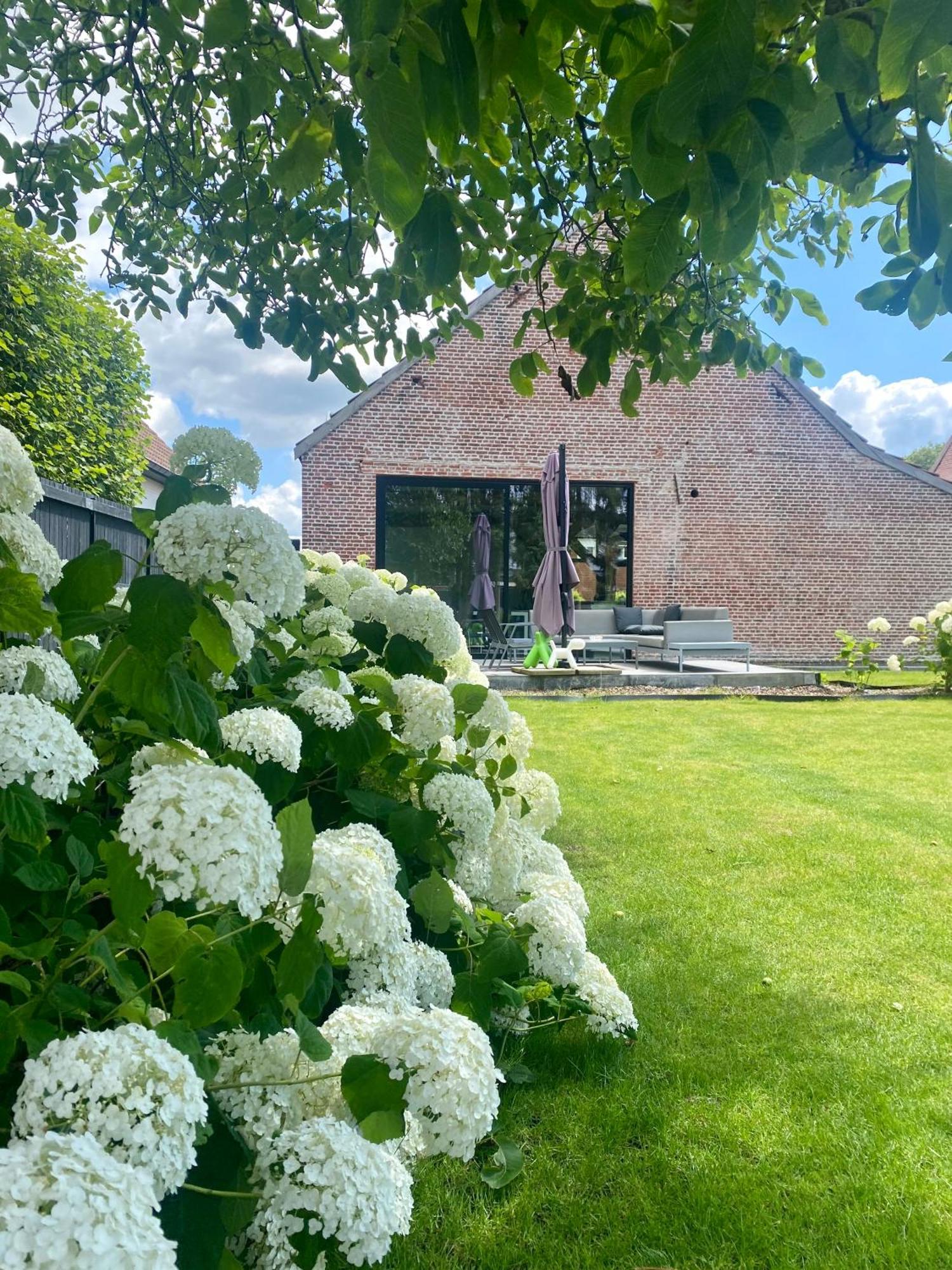 Hoeve De Kleinheide Dessel Exterior foto